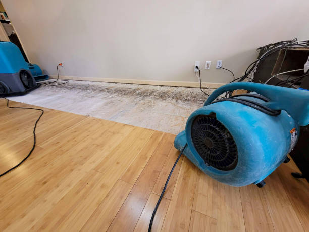 Professional Water Damage Repair technician working in Patton, CA